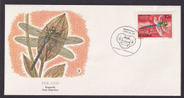 Polen Poland Fauna Libellen Schöner Künstler Brief - Storia Postale