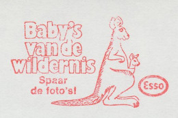 Meter Cut Netherlands 1972 Esso - Kangaroo - Autres & Non Classés