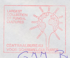 Meter Cover Netherlands 1994 Fungal Cultures - Baarn - Bomen