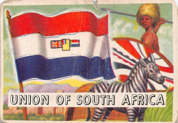 Flags Of The World Chromo - Union Of South Africa - 6.5 X 9.5 Cm - Autres & Non Classés
