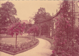 L'HAY LES ROSES -   La Pergola - Photo Véritable - Rare  - CPM Dentelée - L'Hay Les Roses