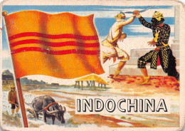 Flags Of The World Chromo - Indochina - 6.5 X 9.5 Cm - Sonstige & Ohne Zuordnung