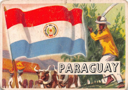 Flags Of The World Chromo - Paraguay - 6.5 X 9.5 Cm - Sonstige & Ohne Zuordnung