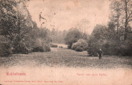 Schönbrunn - Partie Aus Dem Parke - Château De Schönbrunn