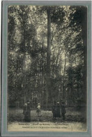 CPA  (72) ECOMMOY - Thème: ARBRE - Le Chêne Boppe Dans Le Forêt De Bercey - 1920 - Ecommoy