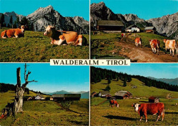 73885553 Walderalm Gnadenwald Tirol AT Gasthaus Hinterhorn Alm Teilansichten  - Autres & Non Classés