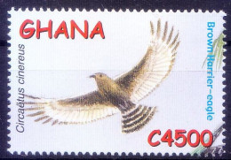 Brown Harrier Eagle, Birds Of Prey, Ghana 2002 MNH - Adler & Greifvögel