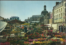 Dieppe - Le Marché Aux Fleurs Et L'église Saint-Jacques (XIIe Et XVIe S.) - (P) - Dieppe