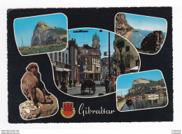 GIBRALTAR Multivues Et Blason Montis Insigna Calpe Attelage Voiture Singe VOIR DOS - Gibilterra