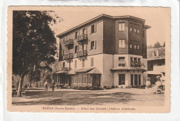 CPA :  14 X 9  -  BOËGE  -  Hôtel Des Chalets - Boëge