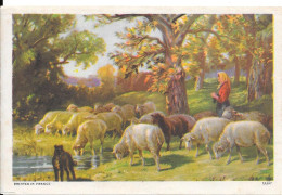 BISCUITERIE-BISCOTTERIE - LE COLIBRI   - PONS (C.M) Téléph: 79&119 - MOUTONS A LA RIVIÈRE - Andere & Zonder Classificatie