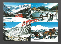 Pontresina Curling Platz Berninagruppe Train Pferd Attelage Cheval Multivues Photo Card Suisse Zwitserland Htje - Pontresina