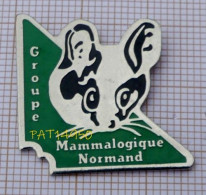 PAT14950 GROUPE MAMMALOGIQUE NORMAND ETUDE Des MAMMIFERES ET LEURS ECOSYSTEMES - Animali