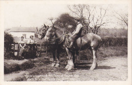 Nostalgia Postcard - Plough Team C1918  - VG - Non Classés