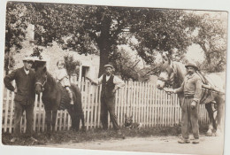 A IDENTIFIER CARTE PHOTO : Normandie ? Calvados ? Manche ?  Cheval , Ferme Campagne - Autres & Non Classés