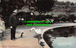 R507290 Brighton. Queen Park. London View. 1911 - Andere & Zonder Classificatie