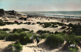 FORT MAHON - LA PLAGE ET LES DUNES - Fort Mahon