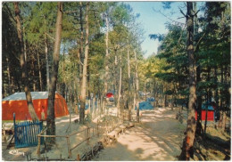 80. Gf. QUEND-PLAGE-LES-PINS. Camping. 0040 - Quend