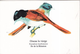 ILE De La REUNION -  Oiseau La Vierge  (Gobe Mouche Du Paradis) - Otros & Sin Clasificación