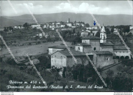 Bi207 Cartolina Bibbiena Panorama Dal Santuario Basilica Di S.maria Del Sasso - Arezzo