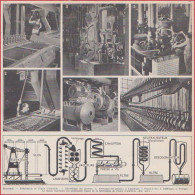 Huilerie. Fabrication De L'huile D'arachide. Les Principales étapes. Larousse 1948. - Historical Documents