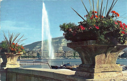 *CPM - SUISSE - GENEVE - Le Jet D'Eau - Genève