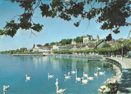 *CPM - SUISSE - VAUD - NYON - Les Quais Et Le Château - - Nyon