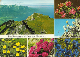 *CPM - SUISSE - VAUD - MONTREUX - Les Rochers De Naye Sur Montreux - Flore Locale - Montreux