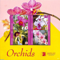 Nevis 2019 Orchids 4v M/s, Mint NH, Nature - Flowers & Plants - Orchids - St.Kitts Y Nevis ( 1983-...)