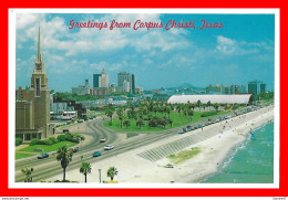 CPSM/gf  CORPUS CHRISTI (Etats-Unis)  This View Of Skyline Of Beautiful Corpus Christi...H379 - Corpus Christi