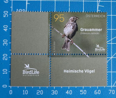 Grauammer 2023 Austria Corn Bunting Brid - Neufs