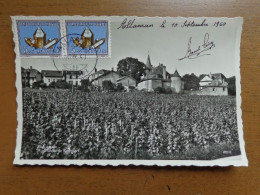 Suisse, Zwitserland / Allaman, Chateau De Rochefort -> Written - Allaman