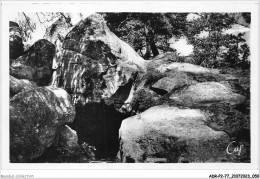 ADRP2-77-0119 - NEMOURS - Rochers De Chaintreauville - La Grotte - Nemours