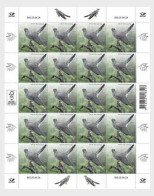 ESTONIA 2024 FAUNA Animals. Birds. The Common Cuckoo - Full Sheet MNH - Estonia