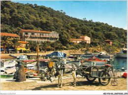 AECP10-83-0816- La Côte D'azur - ILE-DE-PORT-CROS - Le Petit Port  - Hyeres