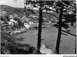 AECP8-83-0635- Environns Du LAVANDOU - AIGUEBELLE - Les Hôtels Et La Plage  - Le Lavandou