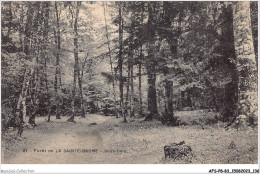 AFSP8-83-0670 - Forêt De LA SAINTE-BAUME - Sous-bois  - Saint-Maximin-la-Sainte-Baume