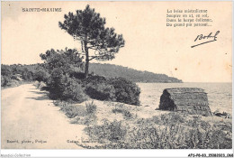 AFSP8-83-0636 - SAINTE-MAXIME - La Brise Mistralienne  - Sainte-Maxime