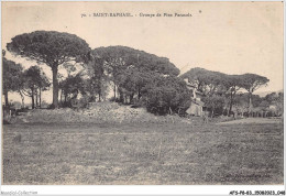 AFSP8-83-0626 - SAINT-RAPHAEL - Groupe De Pins Parasols  - Saint-Raphaël