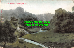 R507704 Waukegan. II. The Ravine. No. 6015. Postcard - World
