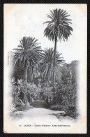 (33A)  Alger- Jardin D'Essais- Ecrite En 1905 - Alger