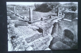 ► Cpsm Fouilles D'ALESIA - Sanctuaire Gaulois - Site Gallo-romain - Historia