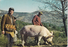 Récolte Des Truffes Autour Des Gorges Du Verdon Et Du Lac De Ste Croix - Other & Unclassified