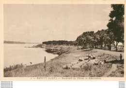 BANGUI BOULEVARD DU FLEUVE ET DEBARCADERE AFRIQUE EQUATORIALE FRANCAISE EDITION HOURIEZ - Centraal-Afrikaanse Republiek