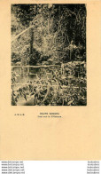 HAUTE SANGHA PONT SUR LA N'GOKOUA  EDITION  J.D.L.N. JOSEPH DUHAUT - French Congo