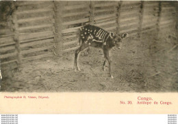 CONGO FRANCAIS ANTILOPE DU CONGO EDITION VISSER - Congo Français