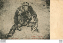 CONGO FRANCAIS CHIMPANZE AVEC SON CHIANT  EDITION VISSER - Französisch-Kongo