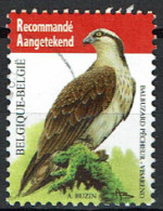 België OBP 4090 - Vogels, Oiseaux, Visarend, Balbuzard Pêcheur - Oblitérés