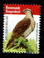 België OBP 4090 - Vogels, Oiseaux, Visarend, Balbuzard Pêcheur - Oblitérés