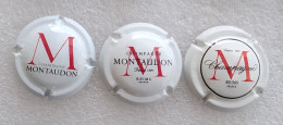 3 Capsules De Champagne Montaudon - Sonstige & Ohne Zuordnung